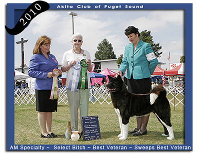 ACPS 2010 Best Veteran ~ Best Veteran in Sweepstakes ~ Select Bitch